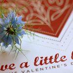 Valentijnsactie – romantisch weekend in Giethoorn